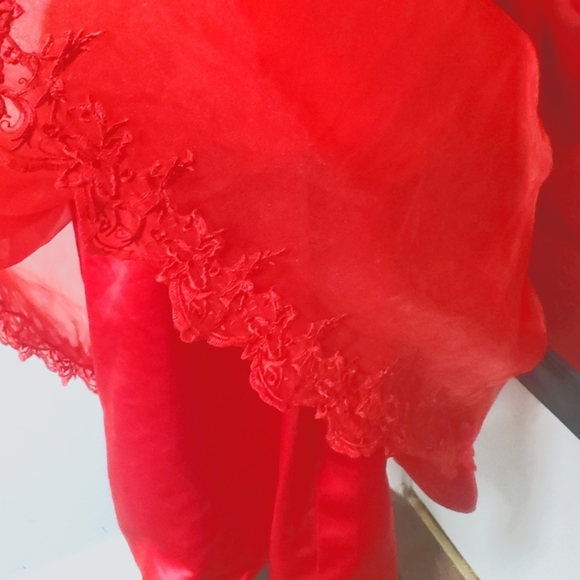 DAZZLING RED FIT N FLARE GOWN STRAPLESS LACE OVERLAY FULL ZIP BACK EMBROIDERED - Picture 12 of 16